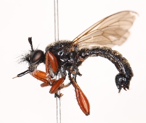  ( - KFUDip02025)  @11 [ ] Copyright (c) (2025) Heimburg H Unspecified