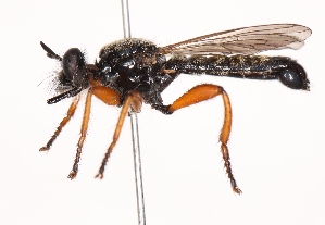  ( - KFUDip02026)  @11 [ ] Copyright (c) (2025) Heimburg H Unspecified