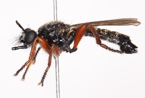  ( - KFUDip02028)  @11 [ ] Copyright (c) (2025) Heimburg H Unspecified