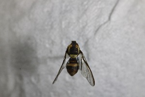  ( - YB-KHC11947)  @12 [ ] Unspecified (default): All Rights Reserved  Unspecified Unspecified