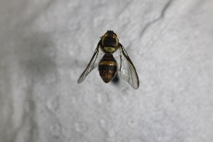  ( - YB-KHC11947)  @12 [ ] Unspecified (default): All Rights Reserved  Unspecified Unspecified