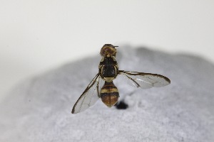  ( - YB-KHC11978)  @12 [ ] Unspecified (default): All Rights Reserved  Unspecified Unspecified