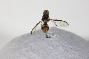  ( - YB-KHC11978)  @12 [ ] Unspecified (default): All Rights Reserved  Unspecified Unspecified