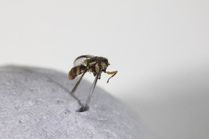  ( - YB-KHC11978)  @12 [ ] Unspecified (default): All Rights Reserved  Unspecified Unspecified