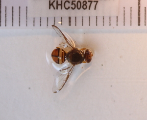  ( - KHC-002_D04)  @12 [ ] No Rights Reserved  Unspecified Unspecified