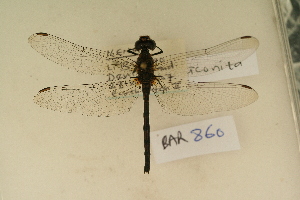  ( - BAR 860)  @12 [ ] Copyright (2011) NMK National Museums of Kenya