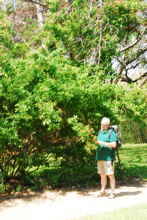 ( - OM1676)  @11 [ ] Unspecified (default): All Rights Reserved  Unspecified Unspecified