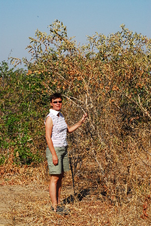  ( - OM1028)  @11 [ ] Unspecified (default): All Rights Reserved  Unspecified Unspecified