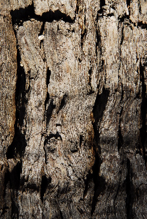  ( - RBN336)  @11 [ ] Unspecified (default): All Rights Reserved  Unspecified Unspecified