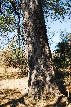  ( - RBN336)  @11 [ ] Unspecified (default): All Rights Reserved  Unspecified Unspecified