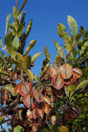  ( - OM1586)  @11 [ ] Unspecified (default): All Rights Reserved  Unspecified Unspecified