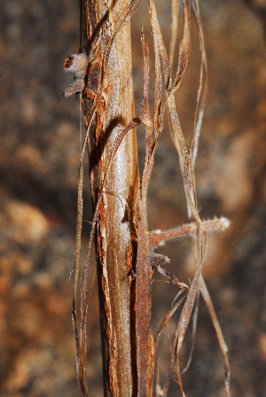  ( - OM0996)  @11 [ ] Unspecified (default): All Rights Reserved  Unspecified Unspecified