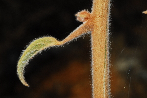  ( - OM0996)  @11 [ ] Unspecified (default): All Rights Reserved  Unspecified Unspecified