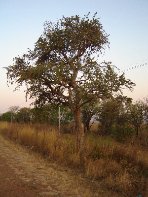  ( - CS33)  @11 [ ] Unspecified (default): All Rights Reserved  Unspecified Unspecified