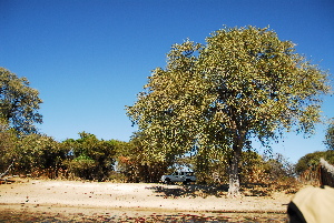  ( - OM1012)  @11 [ ] Unspecified (default): All Rights Reserved  Unspecified Unspecified
