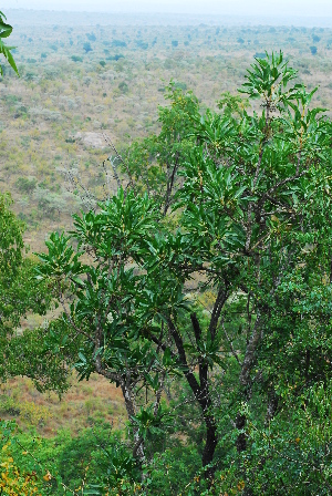  ( - OM1431)  @11 [ ] Unspecified (default): All Rights Reserved  Unspecified Unspecified