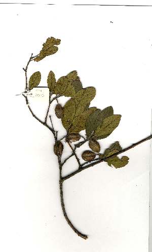  ( - OM2002)  @11 [ ] Copyright  Unspecified Unspecified