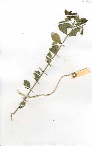  ( - OM0300)  @11 [ ] Copyright  Unspecified Unspecified