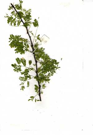  ( - OM0866)  @13 [ ] Unspecified (default): All Rights Reserved  Unspecified Unspecified