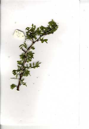  ( - RL1197)  @11 [ ] Unspecified (default): All Rights Reserved  Unspecified Unspecified