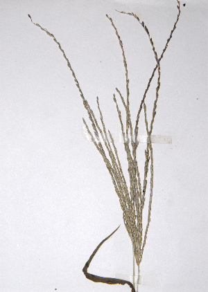  ( - KNP043)  @11 [ ] Unspecified (default): All Rights Reserved  Unspecified Unspecified