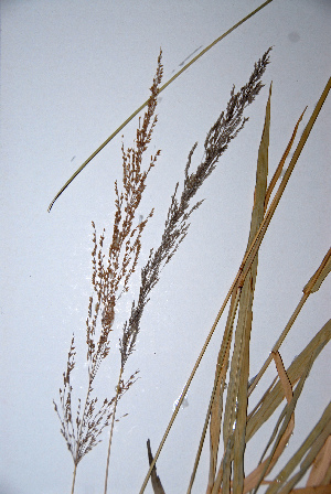  ( - KNP121)  @11 [ ] Unspecified (default): All Rights Reserved  Unspecified Unspecified
