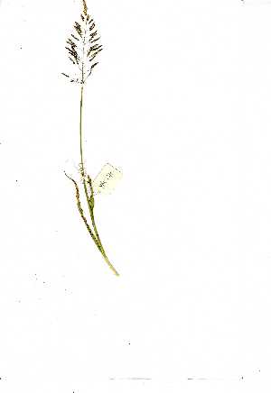  ( - YBK170)  @11 [ ] Copyright  Unspecified Unspecified