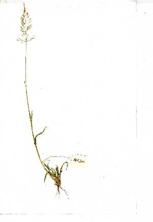  ( - YBK200)  @11 [ ] Copyright  Unspecified Unspecified