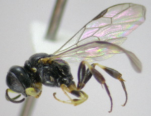  ( - KNWR 8384)  @13 [ ] No Rights Reserved (2012) Unspecified U.S. Fish and Wildlife Service