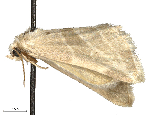  ( - CBG-B15991-C10)  @11 [ ] CreativeCommons - Attribution Share - Alike (2025) CBG Photography Group Centre for Biodiversity Genomics