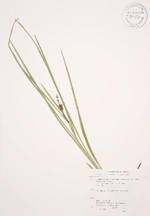  ( - AP205)  @11 [ ] Unspecified (default): All Rights Reserved  Unspecified Unspecified