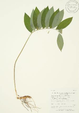  ( - AP063)  @11 [ ] Unspecified (default): All Rights Reserved  Unspecified Unspecified