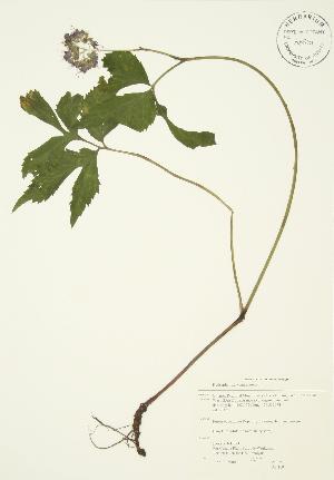 ( - AP109)  @11 [ ] Unspecified (default): All Rights Reserved  Unspecified Unspecified