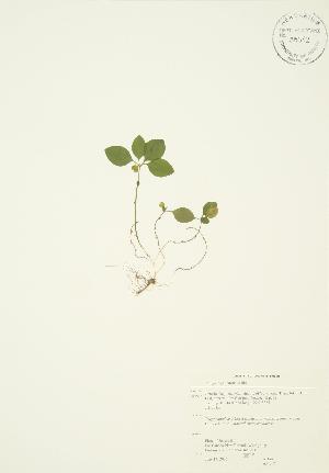  ( - AP117)  @11 [ ] Unspecified (default): All Rights Reserved  Unspecified Unspecified
