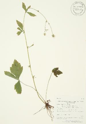  ( - AP146)  @11 [ ] Unspecified (default): All Rights Reserved  Unspecified Unspecified