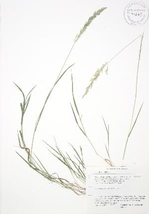  ( - AP490)  @11 [ ] Unspecified (default): All Rights Reserved  Unspecified Unspecified