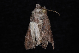  ( - 10-JDWBC-6764)  @12 [ ] CreativeCommons - Attribution (2010) Jeremy deWaard University of British Columbia