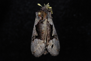  ( - 10-JDWBC-0230)  @12 [ ] CreativeCommons - Attribution (2010) Jeremy deWaard University of British Columbia