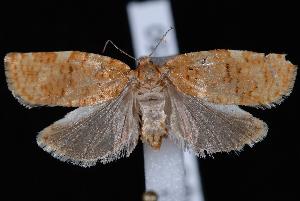  ( - UBC-2007-0250)  @12 [ ] CreativeCommons - Attribution (2010) Jeremy deWaard University of British Columbia