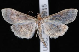  ( - UBC-2007-0915)  @14 [ ] CreativeCommons - Attribution (2010) Jeremy deWaard University of British Columbia