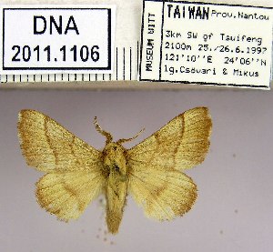  (Malacosoma neustria formosana - 2011.1106)  @14 [ ] Unspecified (default): All Rights Reserved  2011.1106 Unspecified