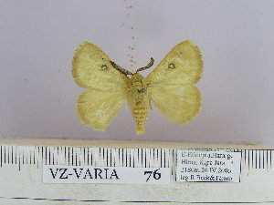  ( - VZ-VARIA-76)  @13 [ ] Unspecified (default): All Rights Reserved  Unspecified Unspecified