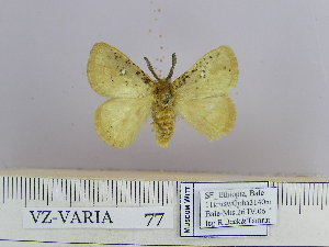  ( - VZ-VARIA-77)  @12 [ ] Unspecified (default): All Rights Reserved  Unspecified Unspecified