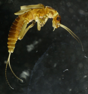  ( - USGSJJGGRTE03C)  @13 [ ] CreativeCommons  Attribution Non-Commercial Share-Alike (2016) Unspecified U. S. Geological Survey