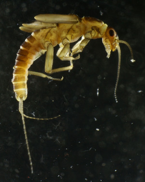  ( - USGSJJGGRTE03F)  @13 [ ] CreativeCommons  Attribution Non-Commercial Share-Alike (2016) Unspecified U. S. Geological Survey