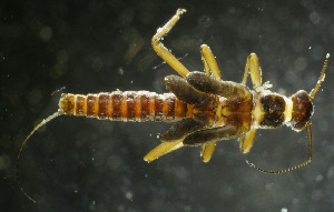  ( - USGSJJGNFTE01A)  @13 [ ] CreativeCommons  Attribution Non-Commercial Share-Alike (2016) Unspecified U. S. Geological Survey