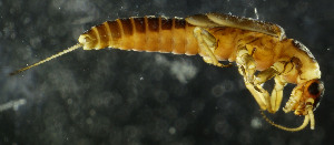  ( - USGSJJGNFTE01C)  @13 [ ] CreativeCommons  Attribution Non-Commercial Share-Alike (2016) Unspecified U. S. Geological Survey