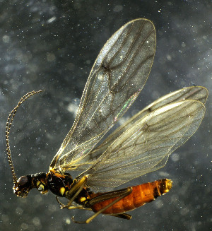  ( - USGSJJGWINC01C)  @13 [ ] CreativeCommons  Attribution Non-Commercial Share-Alike (2016) Unspecified U. S. Geological Survey