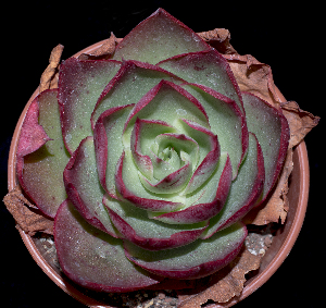  ( - E-H-03)  @11 [ ] CreativeCommons  Attribution Non-Commercial (2018) Universidad Nacional Autónoma de Mëxico UNAM