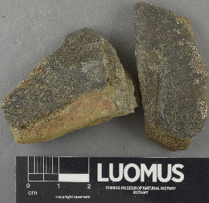  ( - H9243473)  @11 [ ] by-nc (2024) Erkka Laine Luomus
